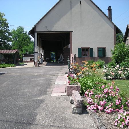 Chambre D'Hote Chez LuluSaasenheim エクステリア 写真