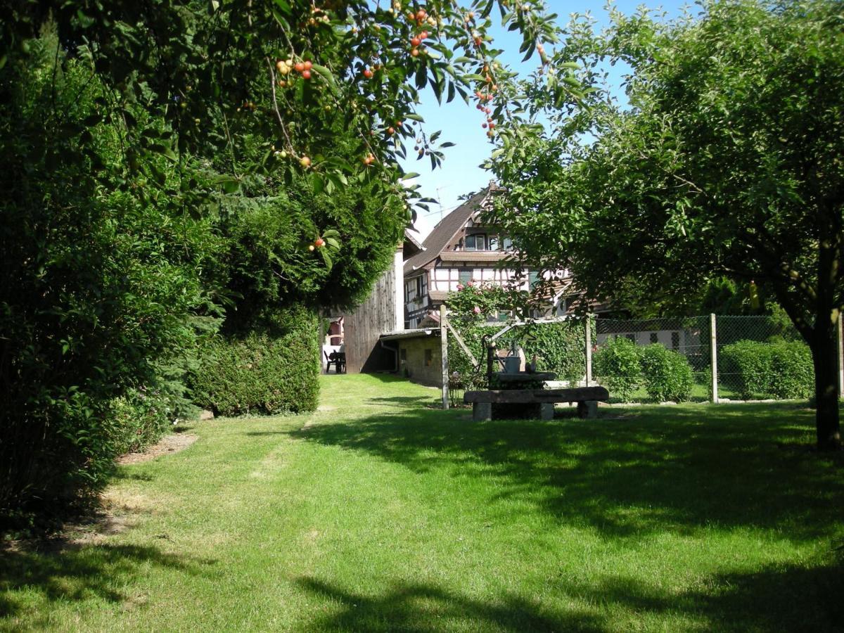 Chambre D'Hote Chez LuluSaasenheim エクステリア 写真