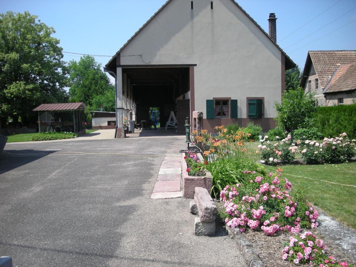 Chambre D'Hote Chez LuluSaasenheim エクステリア 写真
